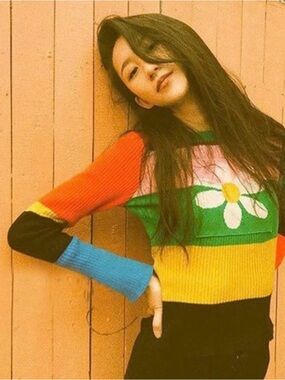 Knit Multicolor Cropped Striped Daisy Sweater Long Sleeves Size S